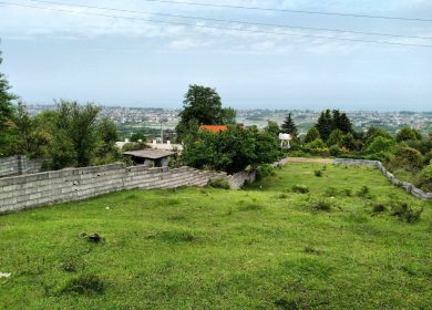 خرید زمین در نوشهر ۸۲۰ متری جنگلی مناسب ساخت سند دار | ۸۲۰ متر