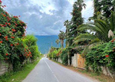 فروش زمین شهرکی سند دار در ونوش نوشهر | ۴۰۰ متر