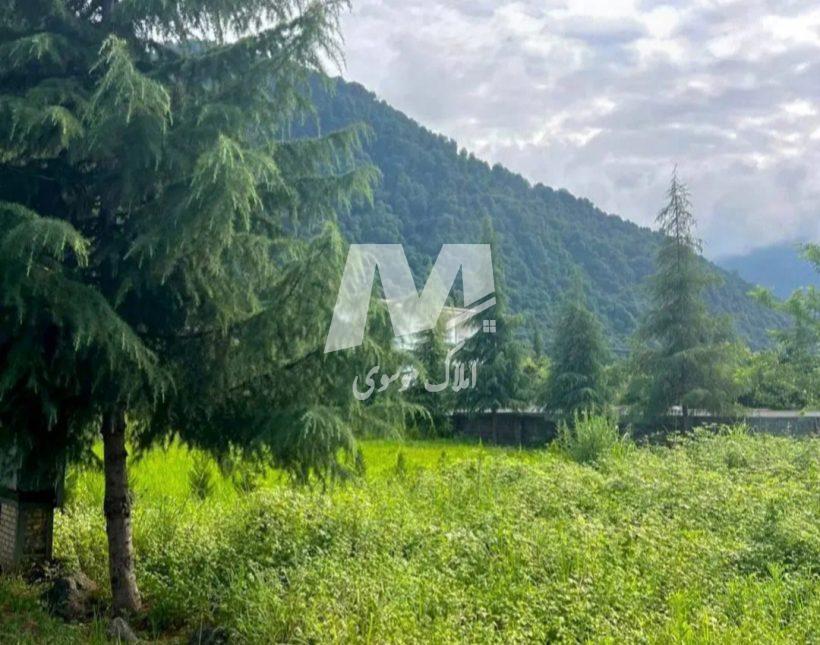 فروش اقساطی زمین قطعات ۲۵۰ و ۳۰۰ متری سند دار چمستان | ۳۰۰ متر
